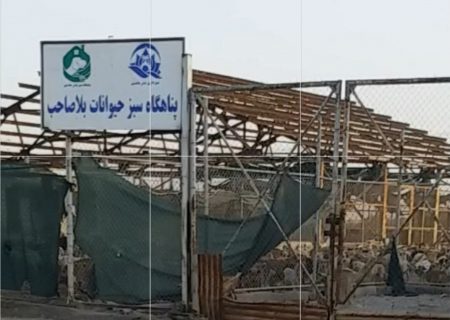 مرکز دپوی سگها در ماهشهر اسارتگاهی برای مرگ زجر آور