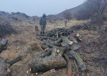گشت های یگان حفاظت منابع طبیعی در طالقان منجر به دستگیری قاچاقچیان چوب شد